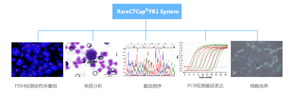 1576208984860710.jpg 11.jpg