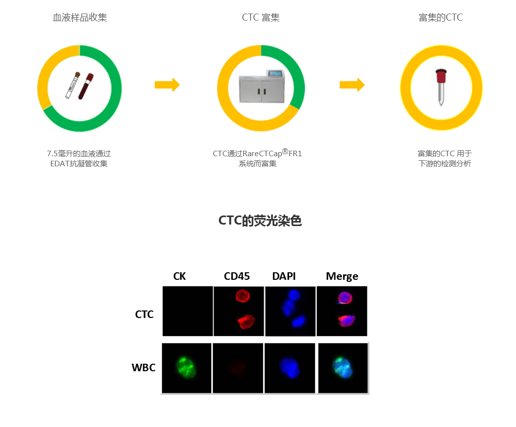 1576218882505871.jpg 22.jpg